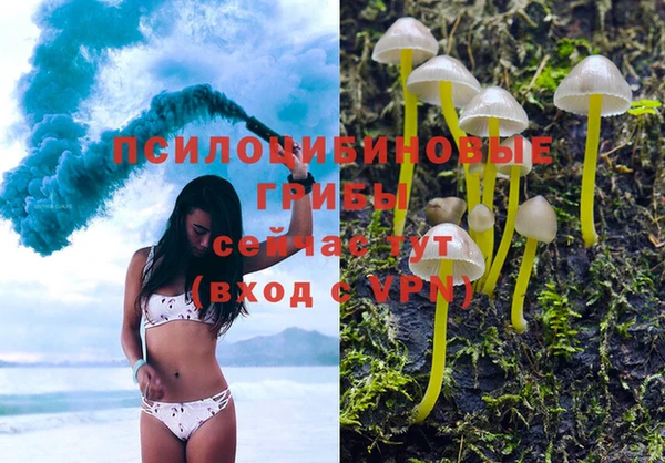 ПСИЛОЦИБИНОВЫЕ ГРИБЫ Алзамай