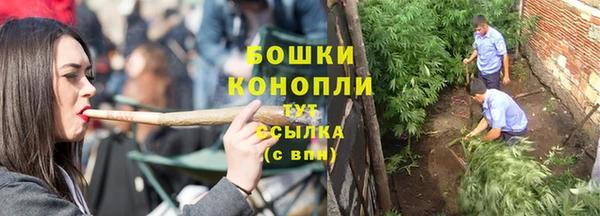 ПСИЛОЦИБИНОВЫЕ ГРИБЫ Алзамай