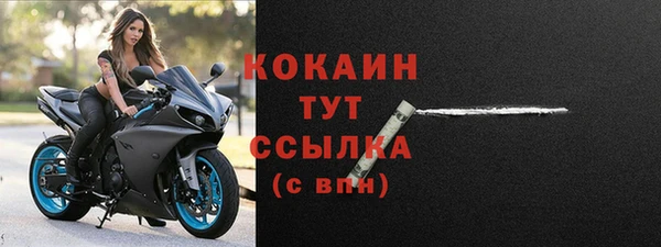 ПСИЛОЦИБИНОВЫЕ ГРИБЫ Няндома