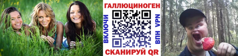 Псилоцибиновые грибы ЛСД  Шумиха 